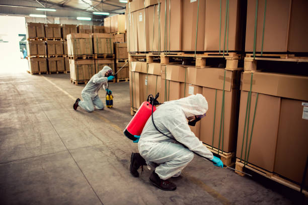 Best Pest Control for Homes  in Pingree Grove, IL