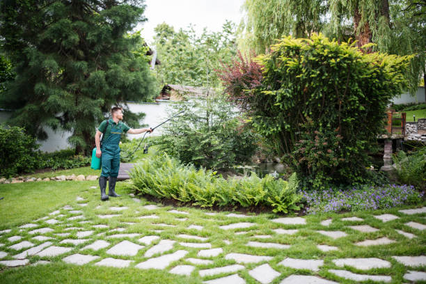 Best Best Pest Control Companies  in Pingree Grove, IL
