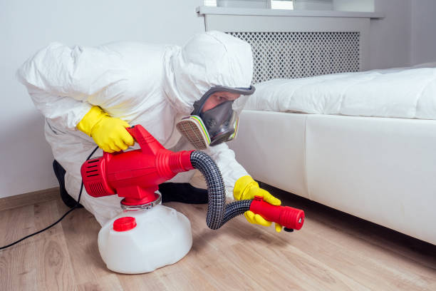 Best Termite Control Services  in Pingree Grove, IL