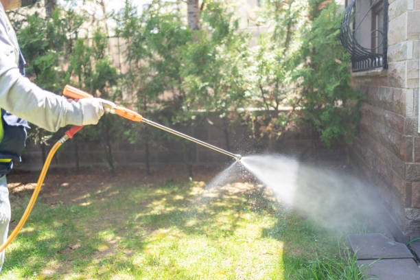 Best Residential Pest Control  in Pingree Grove, IL