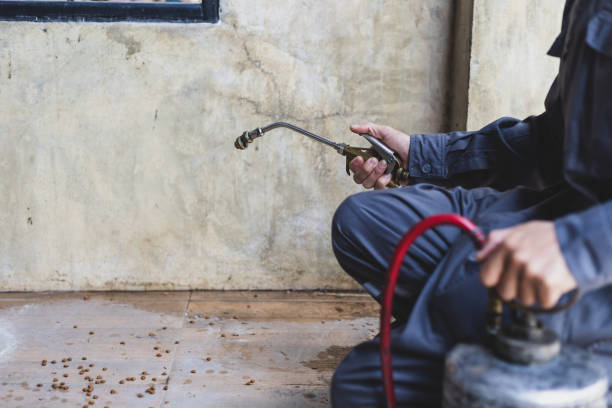 Best Wasp Removal Services  in Pingree Grove, IL